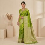 Sareeva Soan Pari silk